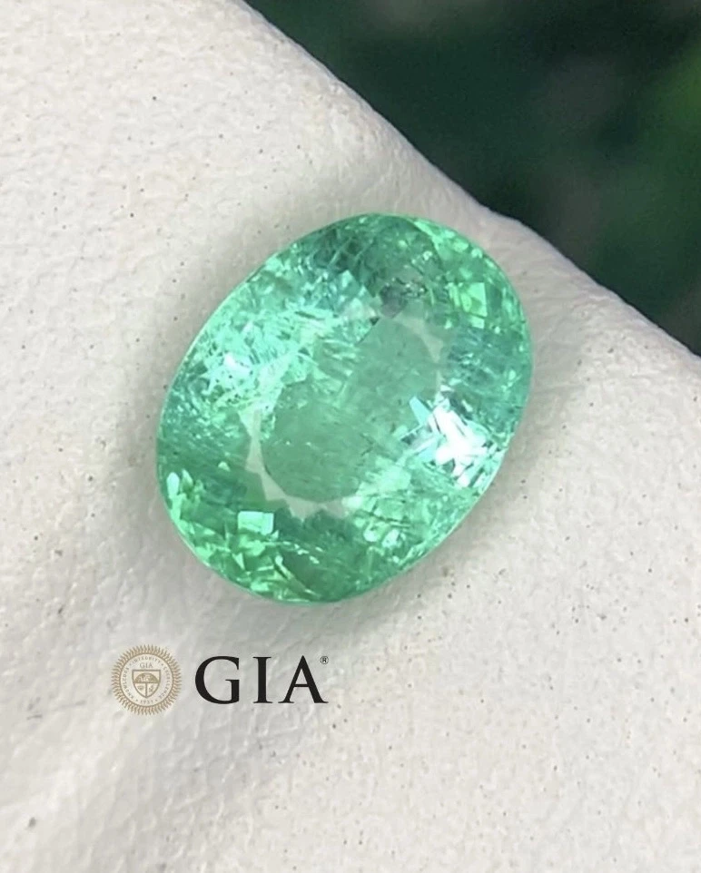 make an offer + showcase