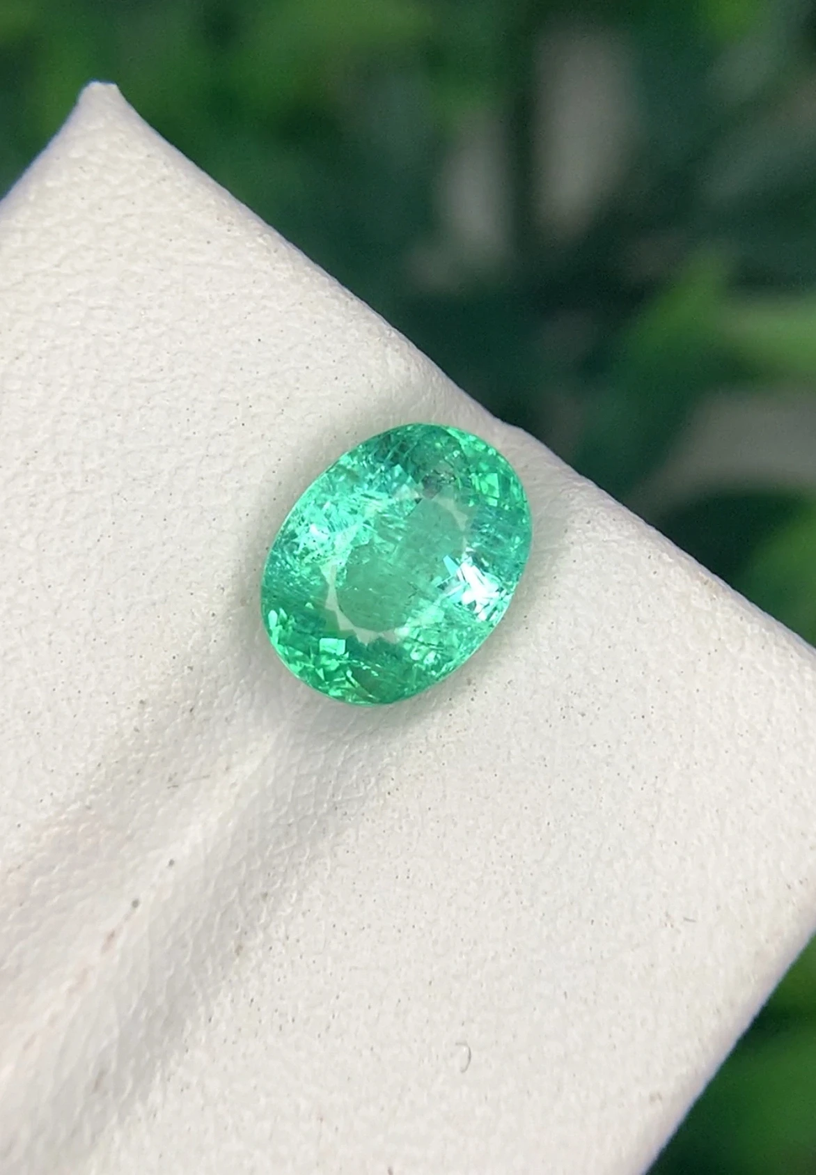 make an offer + showcase — view 3