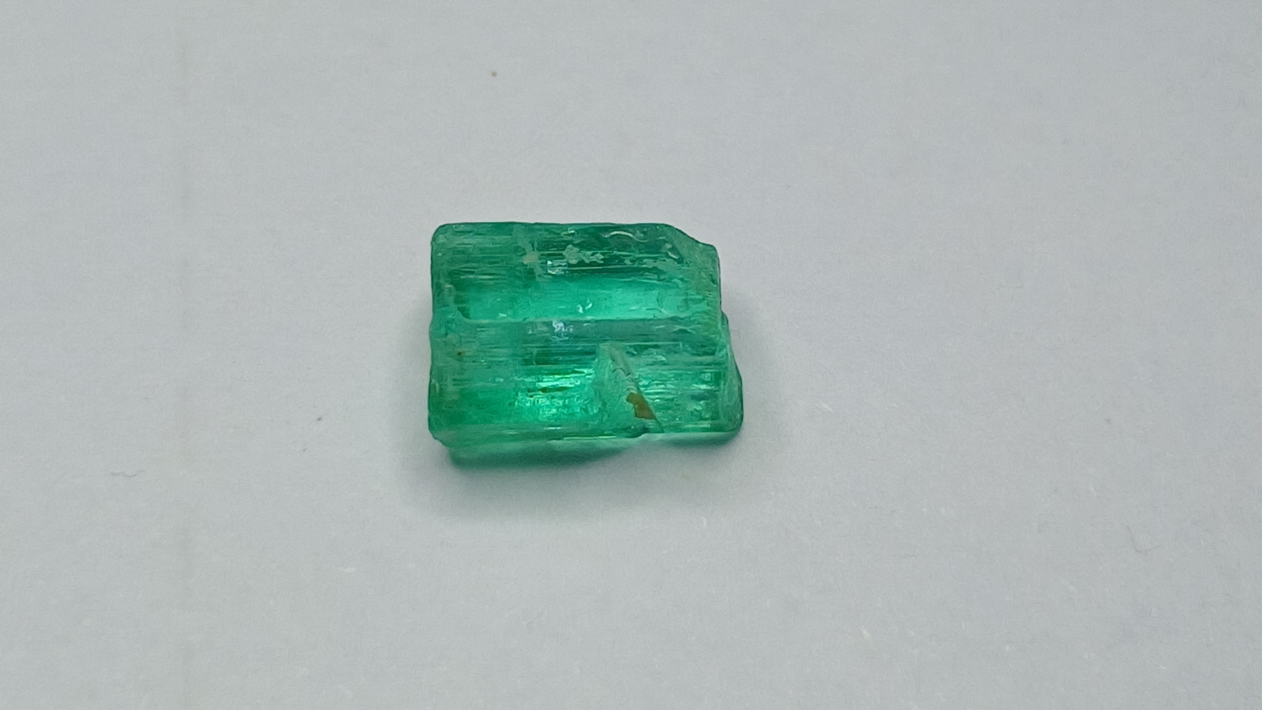 Torumalien test — view 6