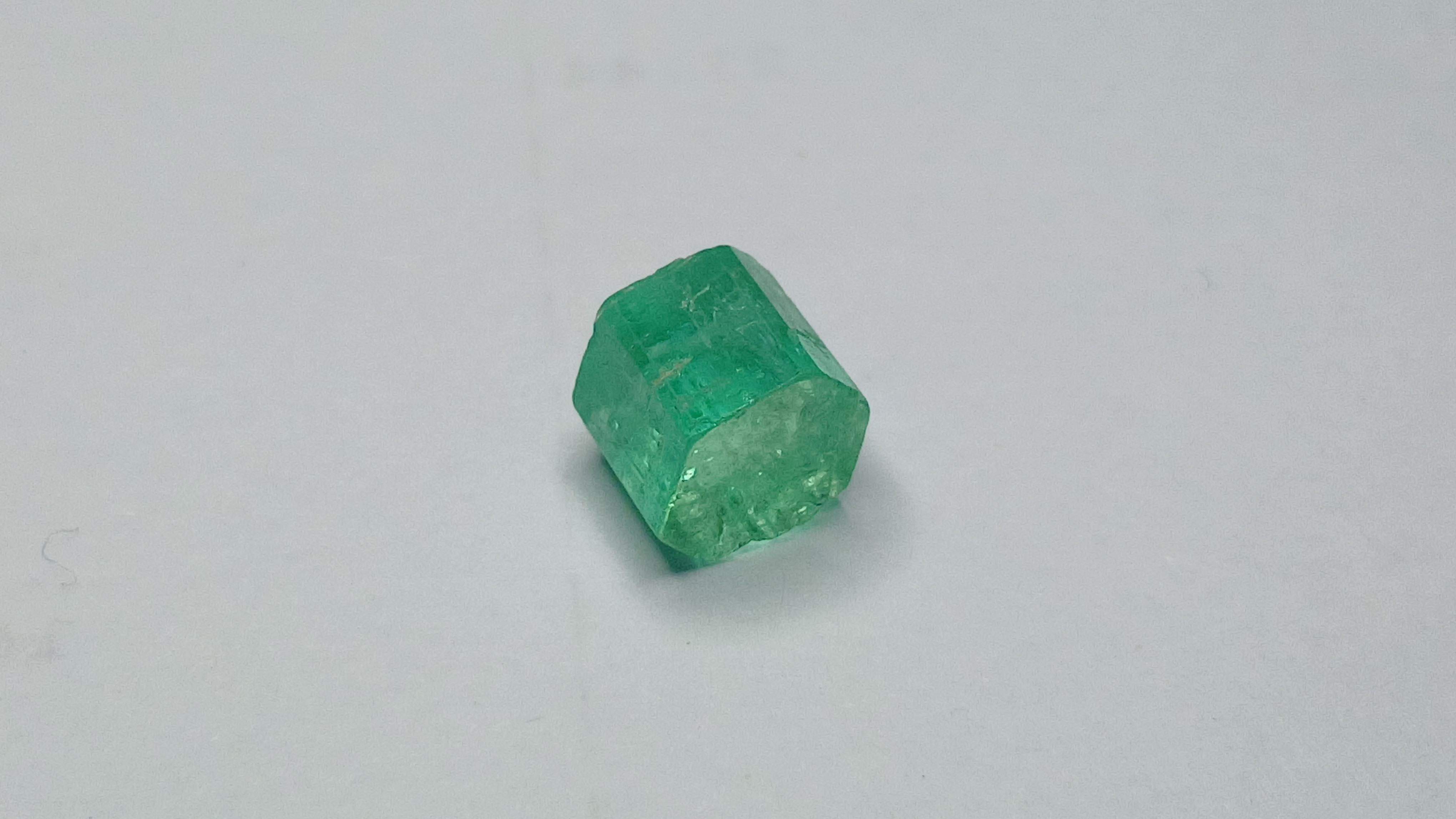 Torumalien test — view 8