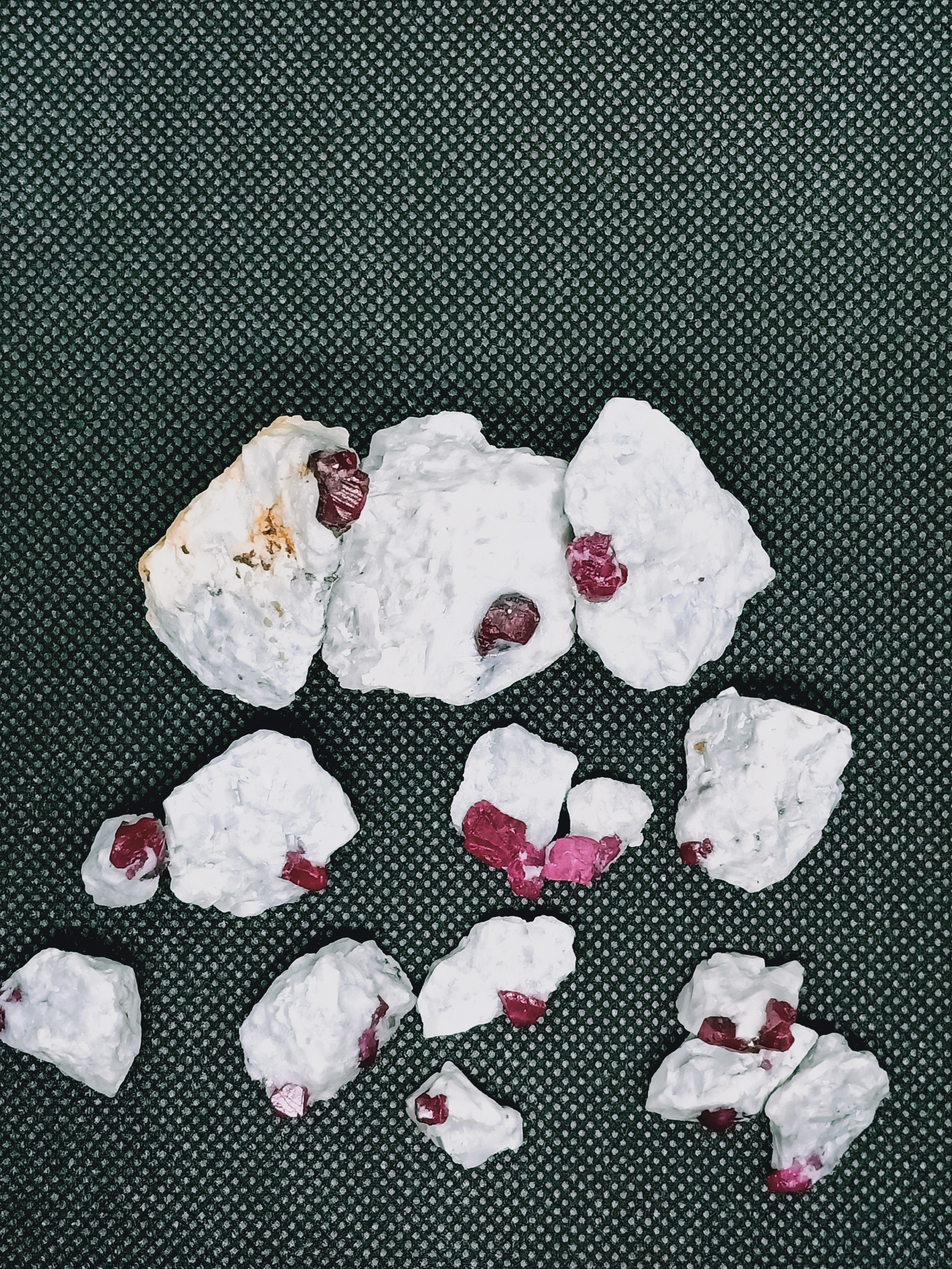 hello test — view 5